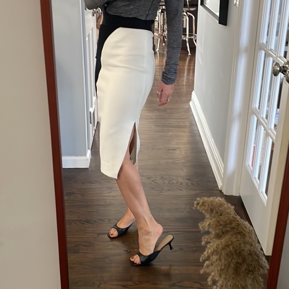 Milly Helix Mesh Skirt - Picture 4 of 15